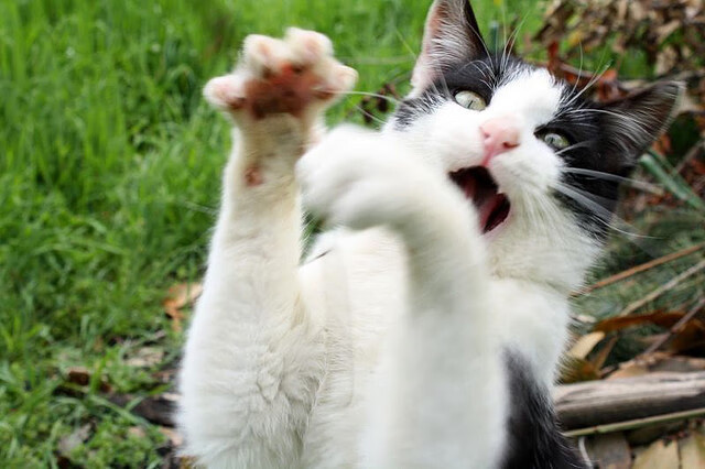 _勇士豪取五连胜,三分雨持续飘洒_,勇士三节120分