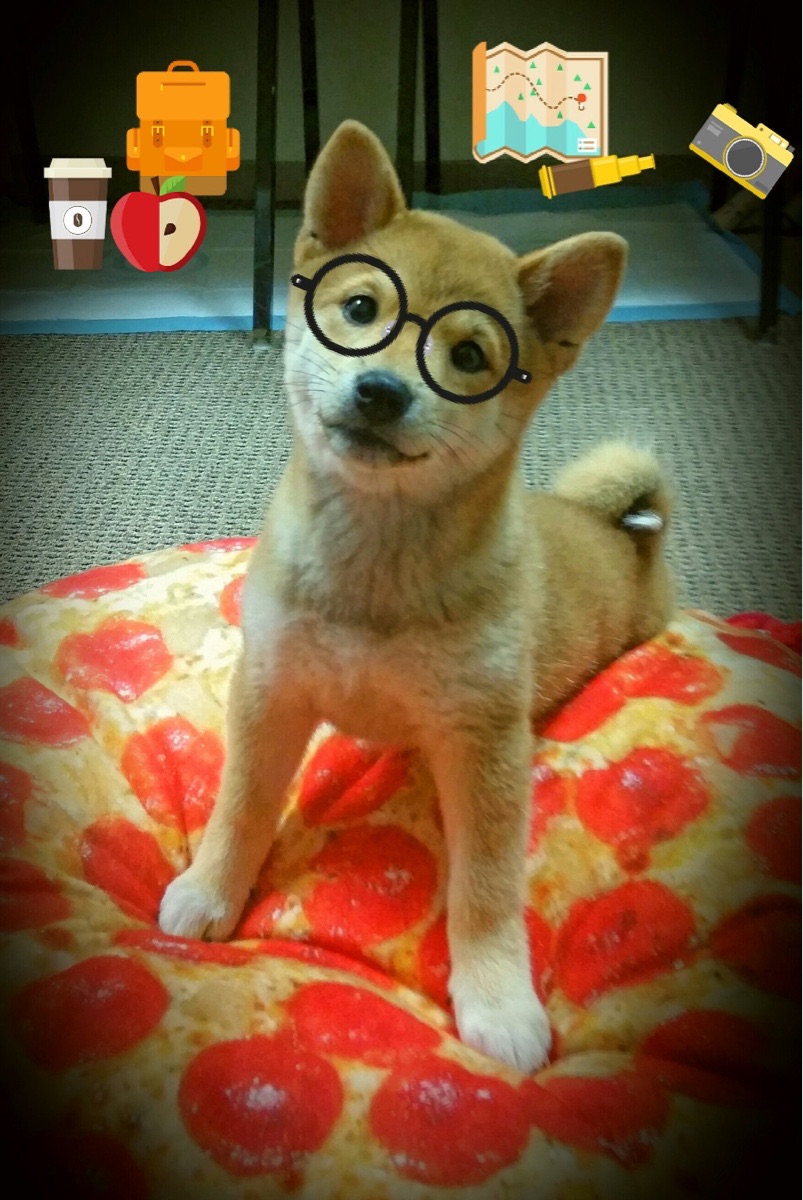 _菜园运动会：乡村振兴中的健康娱乐_，乡村振兴小菜园