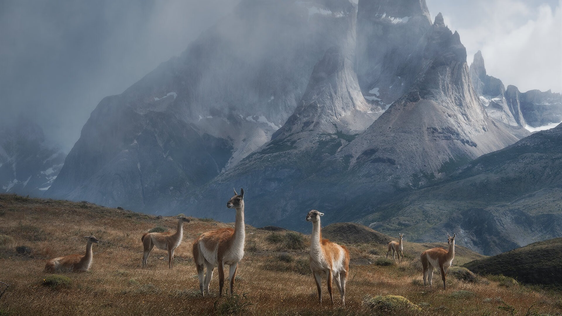 “湾区杯”围棋大棋士赛期间举办围棋文化主题讲座,围棋大赛2021