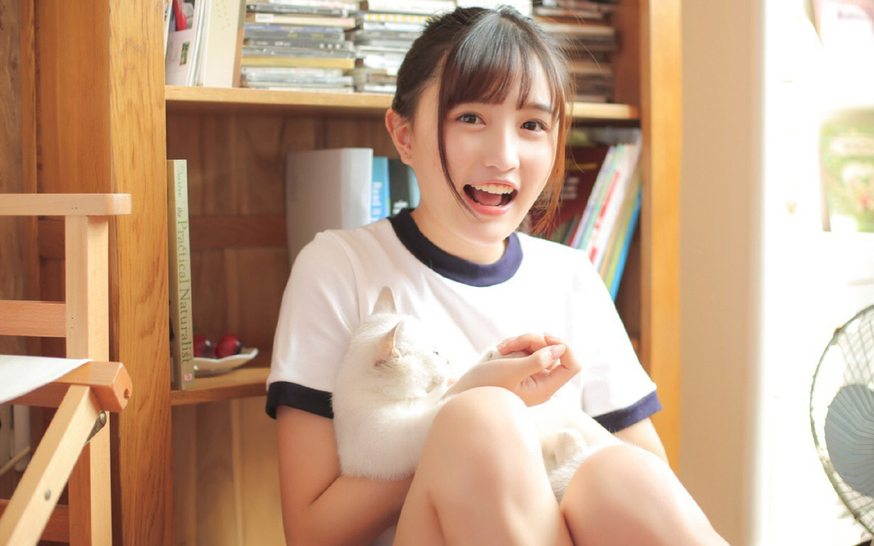 “足球+现代文学”融合,打造文化新品牌,足球文化文字