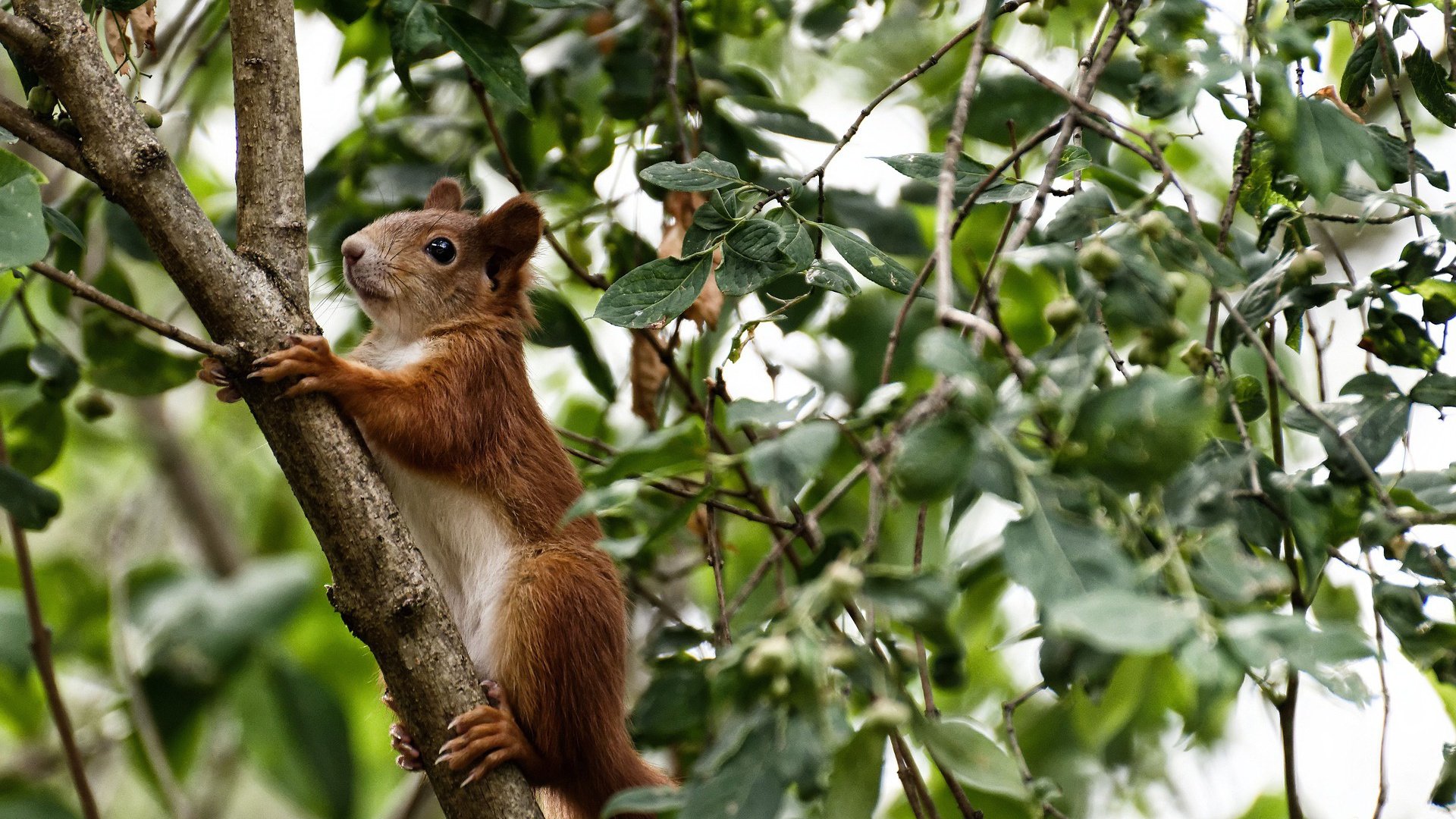 史上最精彩的“瞬间对决”：谁的表现最令人震撼？，瞬间对应的词