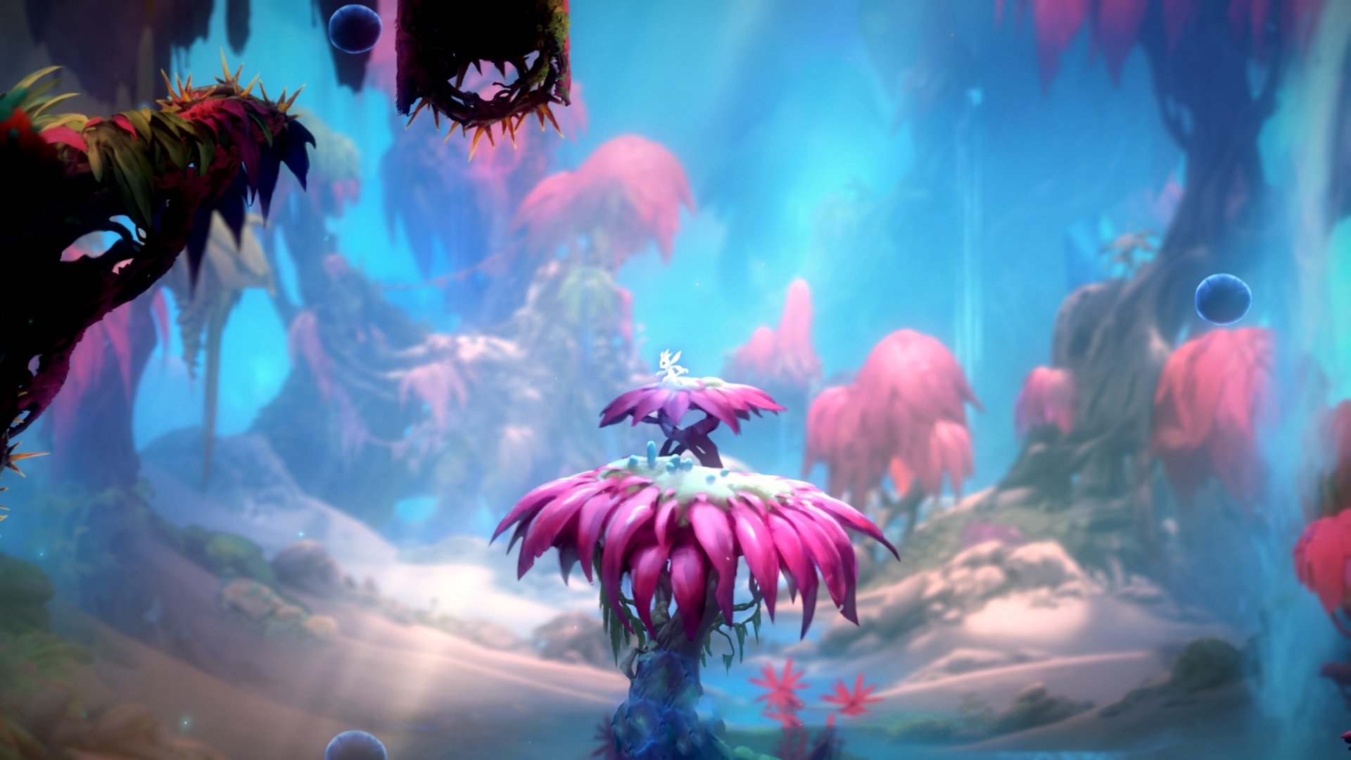 新兴国家加入F1,全球化趋势明显,21个新兴国家