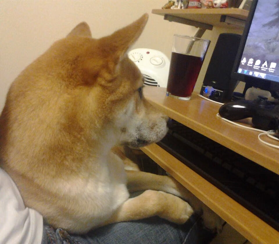 电竞明星遭遇网络暴力，官方发布维权声明，五大电竞明星