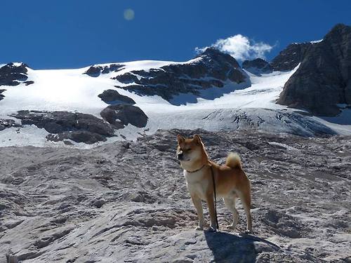 下载开云-科比·布莱恩特：五次总冠军的篮球传奇，永远的“黑曼巴”，科比·布莱恩特总得分