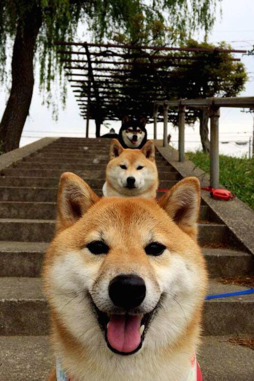 中国足球产业链完善，发展前景广阔，中国足球产业链完善,发展前景广阔的原因