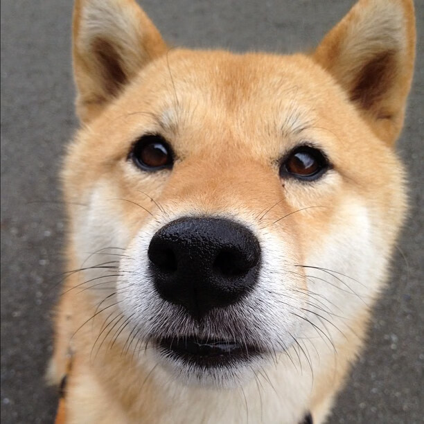 女足世界杯媒体采访精彩瞬间,女足世界杯纪录片