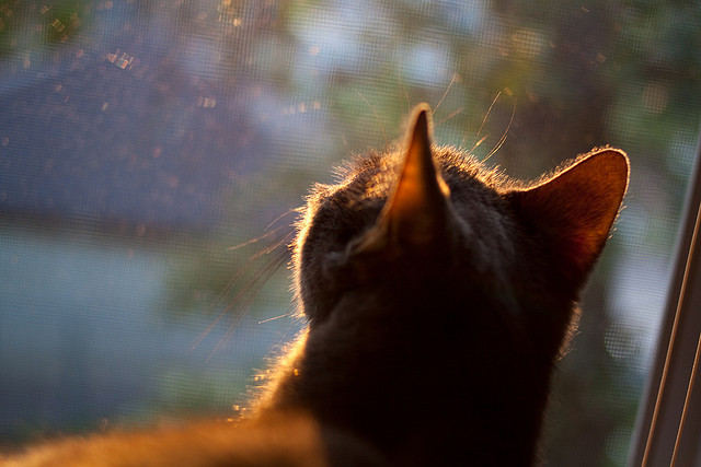 客队在比赛中展现出了惊人的攻击力，客队的球队席应位于记录台同方向的( )