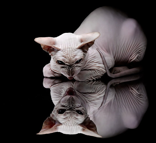 战术安排周密,比赛节奏激烈变化,战术安排的好怎么说