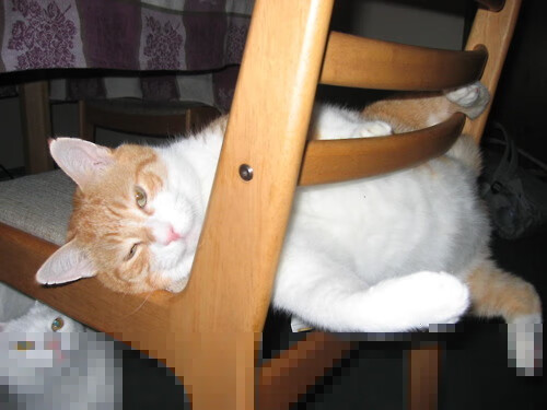 中国足球球员出球预判与失误率分析，中国足球队出线分析