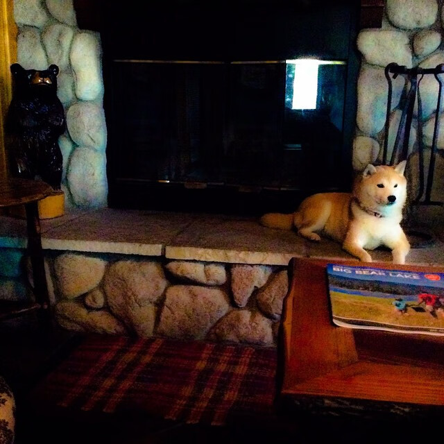 篮球专项体能训练的疲劳恢复策略，篮球体能训练30种方法及要求文库