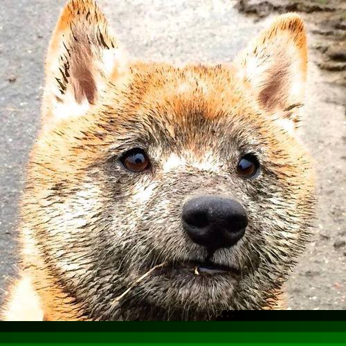 西甲裁判无人机视角辅助执法系统实验成效,无人机裁判员证